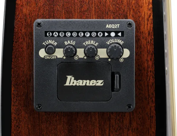 Ibanez AEWC16QA-TEH