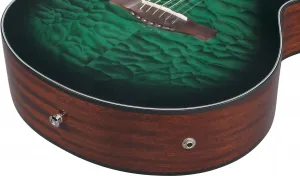 Ibanez AEWC16QA-TEH