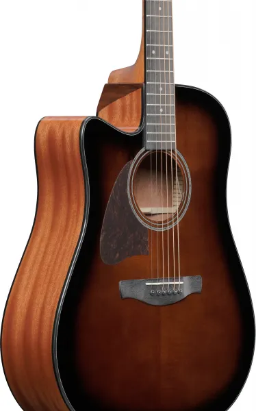 Ibanez AAD51LCE-DVS