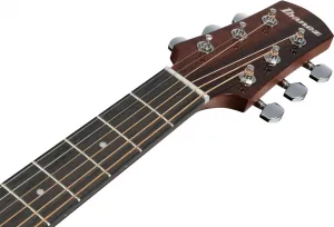 Ibanez AAD51LCE-DVS