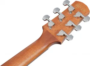 Ibanez AAD51LCE-DVS