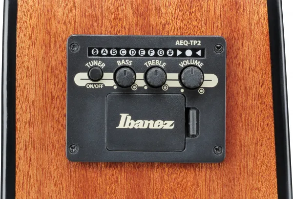 Ibanez AAD51LCE-DVS