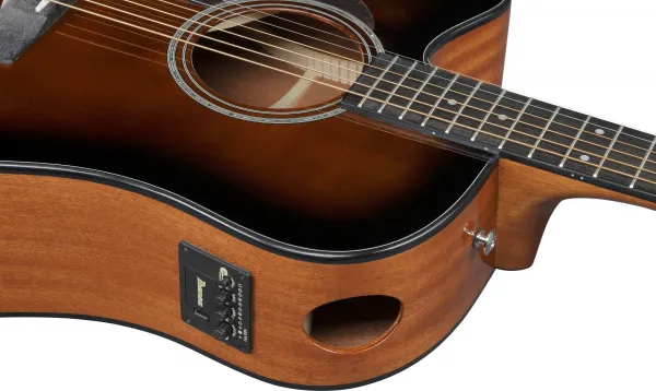 Ibanez AAD51LCE-DVS