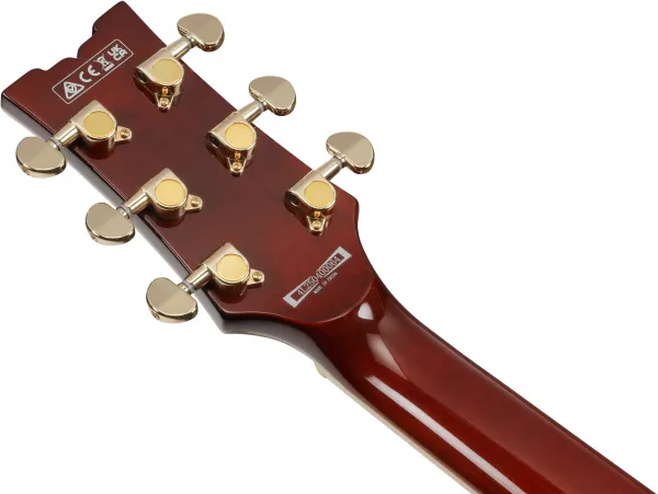 Ibanez AR320-MBM