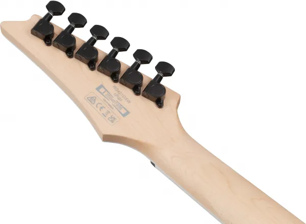 Ibanez RG421DX-TWS
