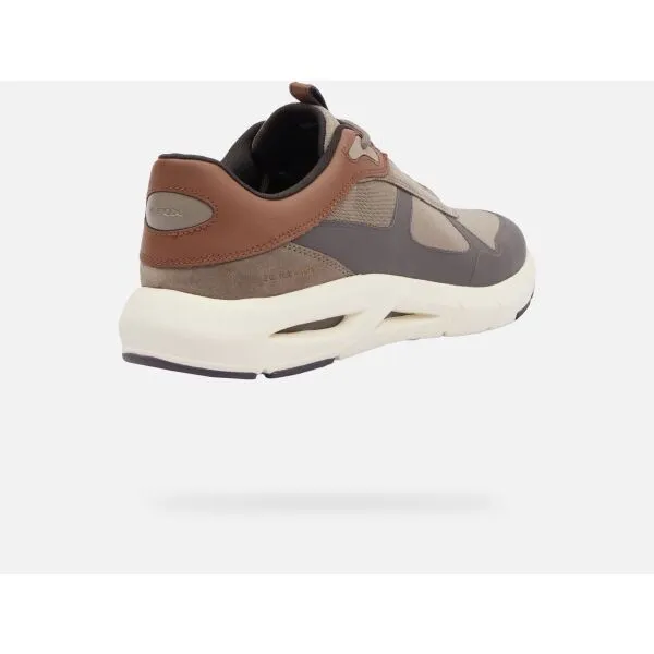Beige men's sneakers Geox Spherica Ecub-5 - Men's