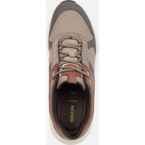 Beige men's sneakers Geox Spherica Ecub-5 - Men's