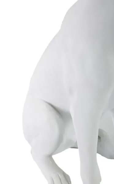 Mauro Ferretti Dekorativní soška Dog 33 cm bílá