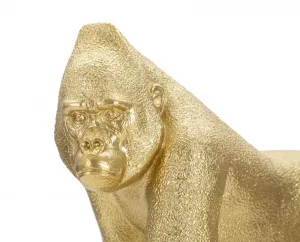 Mauro Ferretti Dekoratívna soška Gorilla Front zlatá
