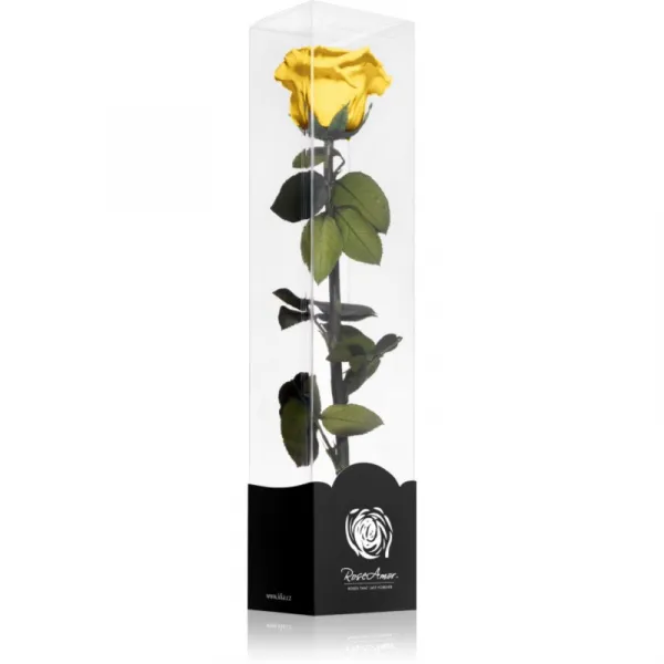 RoseAmor Yellow stabilizovaná ruža na stonke 30 cm 1 ks