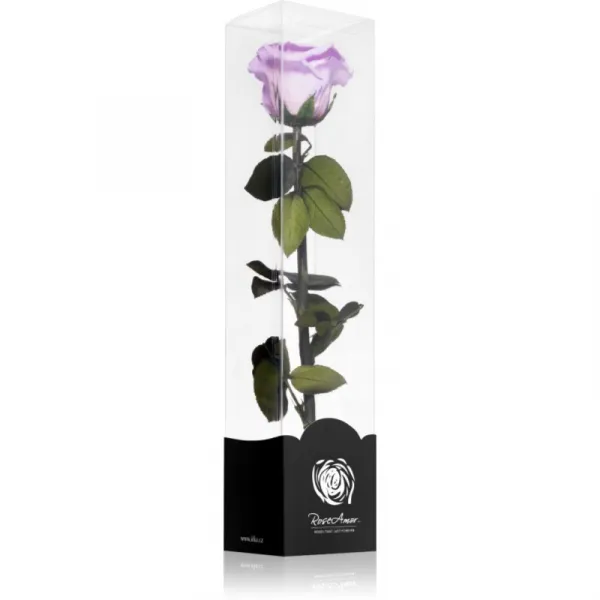 RoseAmor Lila stabilizovaná ruža na stonke 30 cm 1 ks
