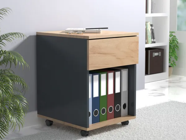 VCM Mobilní kontejner Dalosa 45 1-SB, dub medový