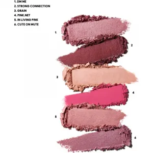 MAC Cosmetics Connect In Colour Eye Shadow Palette 6 shades paletka očných tieňov odtieň Rose Lens 6.25 g