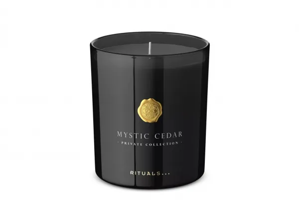 Mystic Cedar Scented Candle