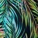 Plavkový asymetrický tankiny top Cambuja s potlačou