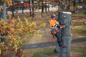 Akumulátorová reťazová píla Husqvarna 550i XP® bez akumulátora a nabíjačky