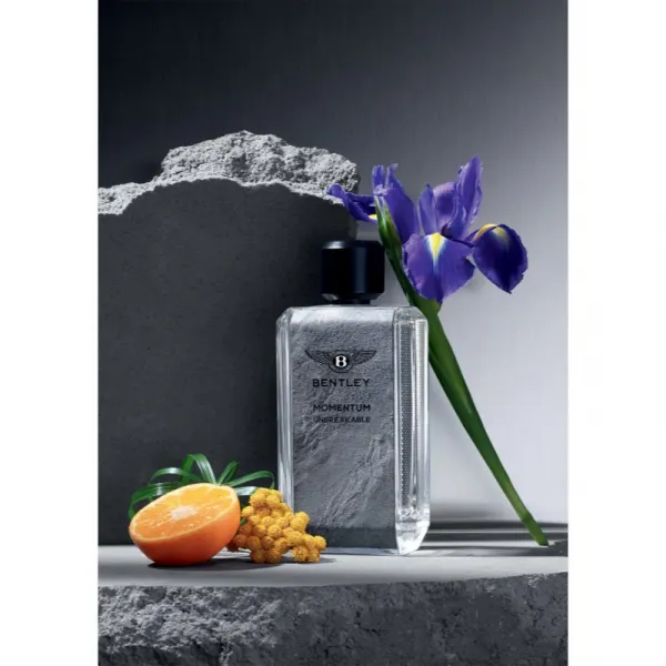 Bentley Momentum Unbreakable parfumovaná voda pre mužov 100 ml