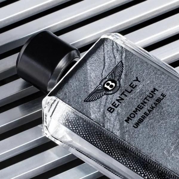 Bentley Momentum Unbreakable parfumovaná voda pre mužov 100 ml