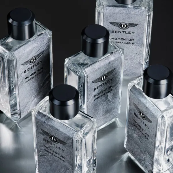 Bentley Momentum Unbreakable parfumovaná voda pre mužov 100 ml