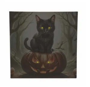 Nástenná maľba mačka na tekvici, 4 LED, 40 x 40 cm