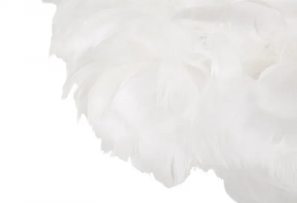 Mauro Ferretti Stojacia lampa Feathers 170 cm biela/zlatá