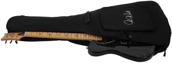 PRS SE NF 53 Black Doghair 2026