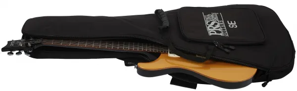 PRS SE DGT Moons Gold Top 2026