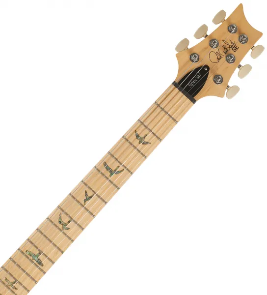 PRS SE Swamp Ash Special Iri Blue 2026