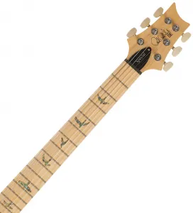 PRS SE Swamp Ash Special Iri Blue 2026