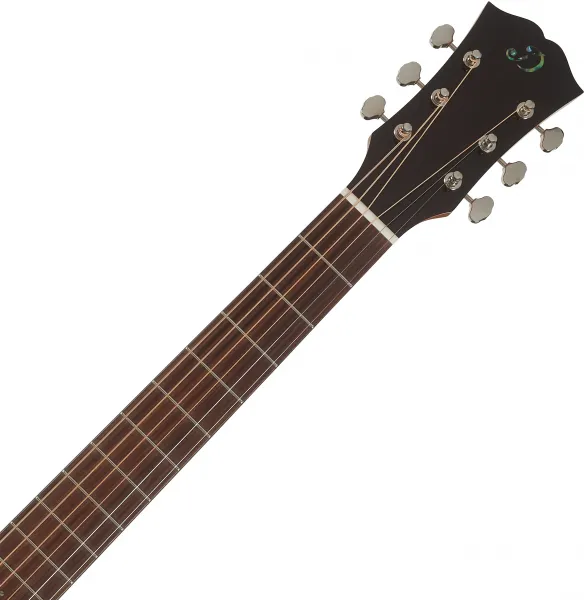 Dowina Granus GACE-S StagePro