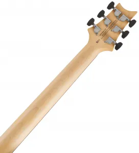 PRS SE Studio Standard Sage Green 2026