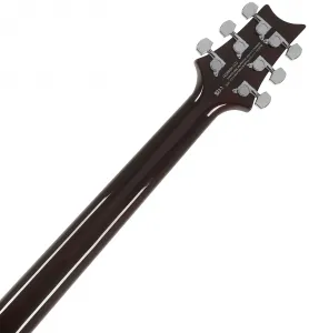 PRS SE DGT Birds Mccarty Tobacco Sunburst 2026