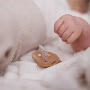BabyOno Take Care Anatomical Silicone Soothers cumlík Night & Day 0-6m 2 ks