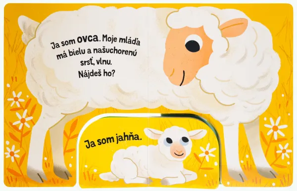 Nájdi mláďa Farma