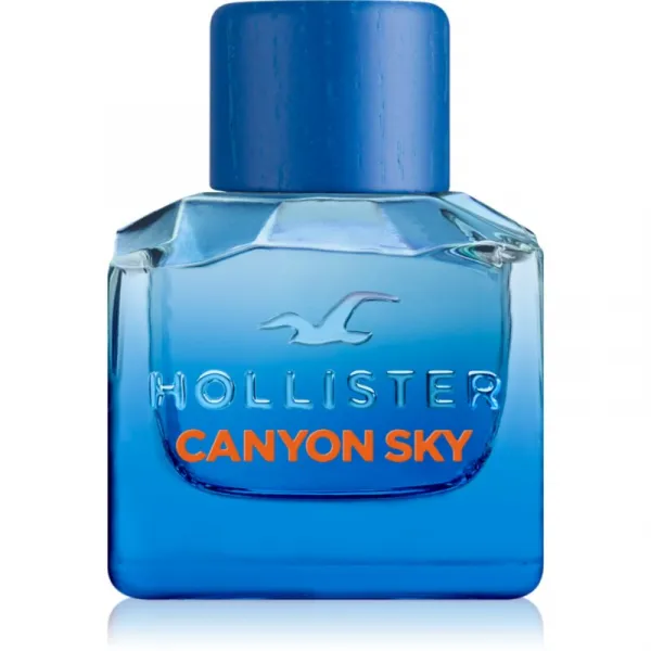 Hollister Canyon Sky For Him toaletná voda pre mužov 50 ml