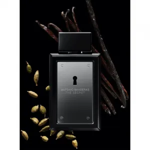 Banderas The Secret toaletná voda pre mužov 100 ml