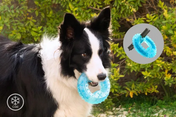 InnovaGoods Žvýkací hračka pro psy 2v1 Glubiz