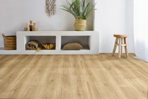 PVC EVOLUTION Maison 5 400 cm