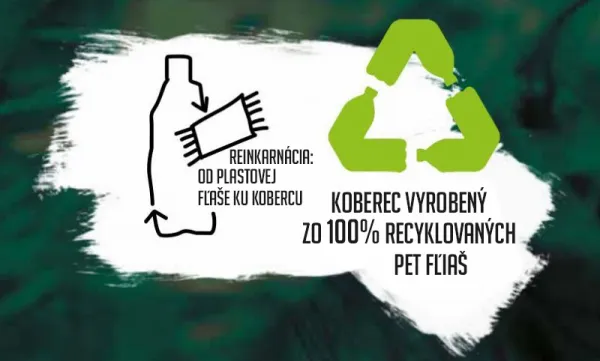 Kusový koberec GRETA 808 PET 160x230 cm