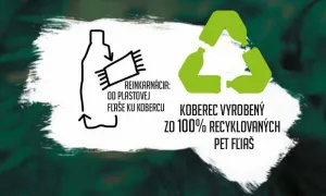 Kusový koberec GRETA 808 PET 160x230 cm