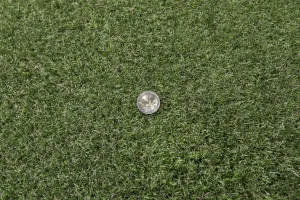 Umelá tráva Rasen 200 cm