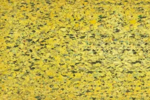 Podložka pod koberec Floorwise TREAD 15,07 m2