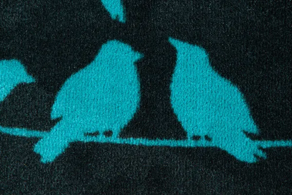 Bytová rohož BIRDS 1 60x40 cm