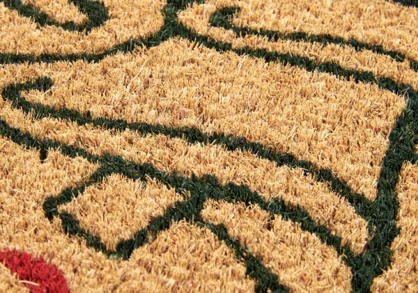 Kokosová rohož Hanse Home Mix Mats 106196 Cocos 40x70 cm