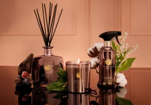 Wild Fig Fragrance Sticks