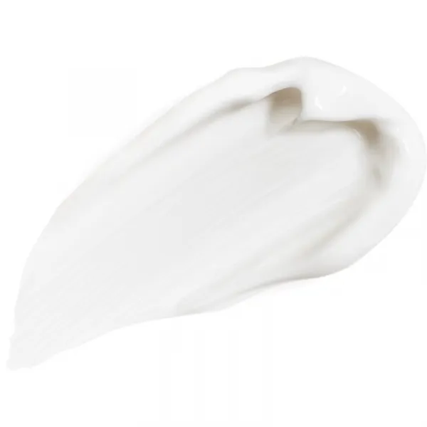 Sisley All Day All Year Anti-Aging Protection protivráskový denný krém 50 ml