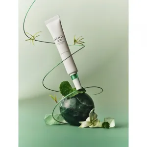 SKIN1004 Madagascar Centella Tea-Trica Spot Cream lokálna starostlivosť proti akné s upokojujúcim účinkom 20 ml