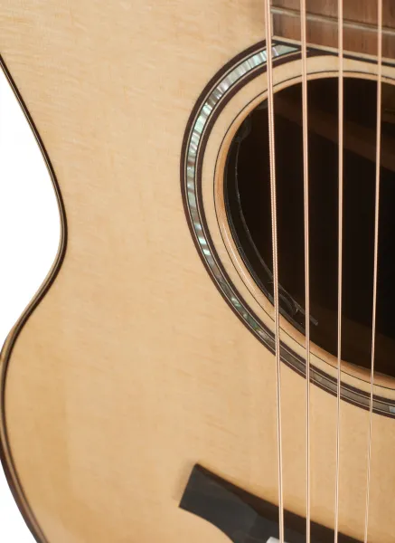 Taylor 814ce Next Generation