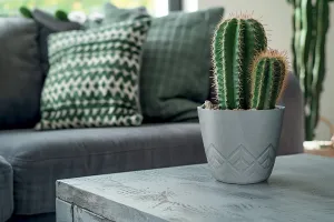 Prosperplast Kvetináč Areca zelený, variant 29,5 cm