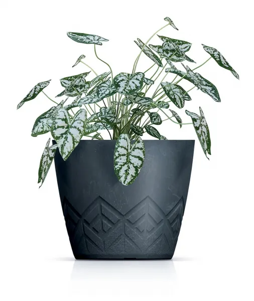 Prosperplast Kvetináč Areca zelený, variant 29,5 cm
